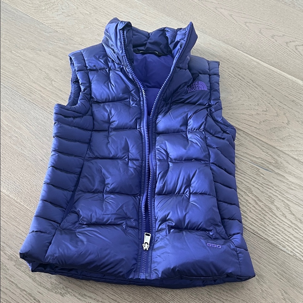 The North Face Royal Blue Puffer Jacket
